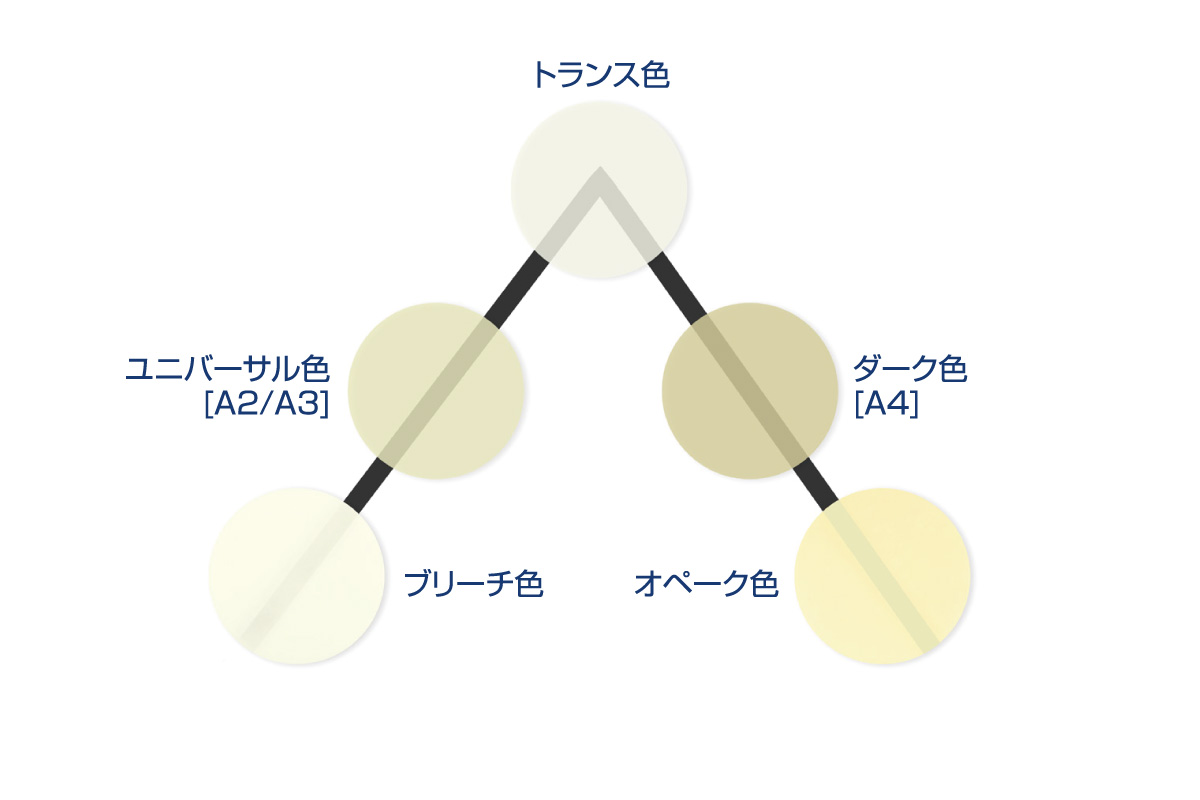 審美性に優れた5色調